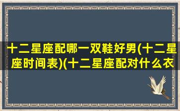 十二星座配哪一双鞋好男(十二星座时间表)(十二星座配对什么衣服最好看)