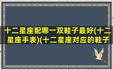 十二星座配哪一双鞋子最好(十二星座手表)(十二星座对应的鞋子)