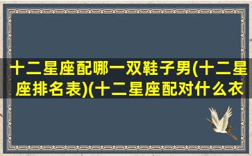 十二星座配哪一双鞋子男(十二星座排名表)(十二星座配对什么衣服最好看)