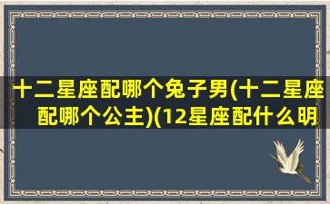 十二星座配哪个兔子男(十二星座配哪个公主)(12星座配什么明星男友合适)