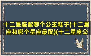 十二星座配哪个公主鞋子(十二星座和哪个星座最配)(十二星座公主鞋子,还有公主礼服)