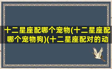 十二星座配哪个宠物(十二星座配哪个宠物狗)(十二星座配对的动物)