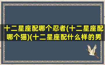 十二星座配哪个忍者(十二星座配哪个猫)(十二星座配什么样的男生)