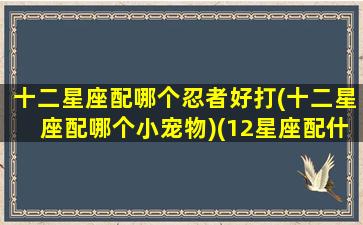 十二星座配哪个忍者好打(十二星座配哪个小宠物)(12星座配什么星座最好)