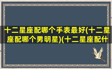 十二星座配哪个手表最好(十二星座配哪个男明星)(十二星座配什么样的男生)