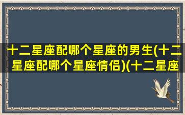 十二星座配哪个星座的男生(十二星座配哪个星座情侣)(十二星座配什么男)