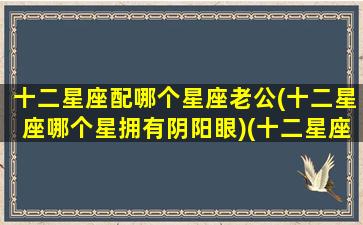 十二星座配哪个星座老公(十二星座哪个星拥有阴阳眼)(十二星座的老公是什么星座)