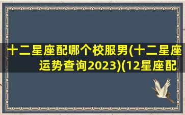 十二星座配哪个校服男(十二星座运势查询2023)(12星座配什么男生)