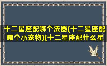 十二星座配哪个法器(十二星座配哪个小宠物)(十二星座配什么星座最好)