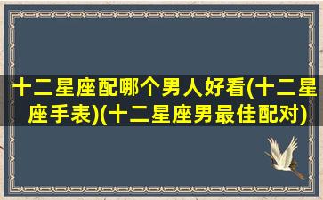 十二星座配哪个男人好看(十二星座手表)(十二星座男最佳配对)