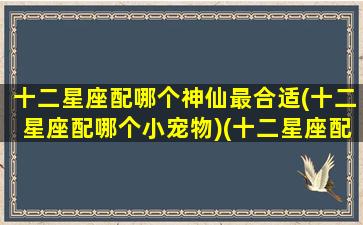 十二星座配哪个神仙最合适(十二星座配哪个小宠物)(十二星座配对什么神兽)