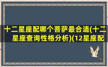 十二星座配哪个菩萨最合适(十二星座查询性格分析)(12星座配什么)
