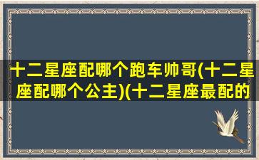 十二星座配哪个跑车帅哥(十二星座配哪个公主)(十二星座最配的车)