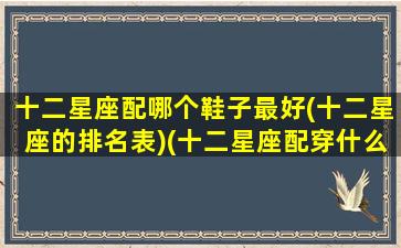 十二星座配哪个鞋子最好(十二星座的排名表)(十二星座配穿什么裙子)