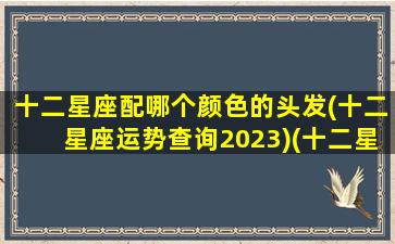 十二星座配哪个颜色的头发(十二星座运势查询2023)(十二星座各配什么颜色)