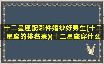 十二星座配哪件婚纱好男生(十二星座的排名表)(十二星座穿什么婚纱最好看)