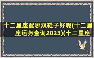 十二星座配哪双鞋子好呢(十二星座运势查询2023)(十二星座配对什么衣服最好看)