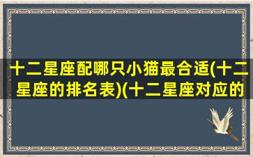十二星座配哪只小猫最合适(十二星座的排名表)(十二星座对应的宠物猫)