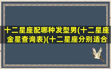 十二星座配哪种发型男(十二星座金星查询表)(十二星座分别适合什么发型)