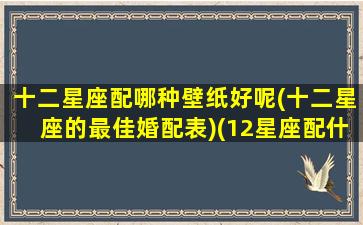 十二星座配哪种壁纸好呢(十二星座的最佳婚配表)(12星座配什么星座最好)