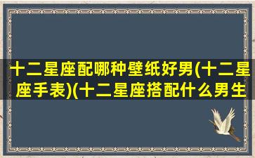 十二星座配哪种壁纸好男(十二星座手表)(十二星座搭配什么男生)