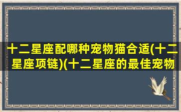 十二星座配哪种宠物猫合适(十二星座项链)(十二星座的最佳宠物猫)