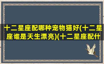 十二星座配哪种宠物猫好(十二星座谁是天生漂亮)(十二星座配什么样的男生)