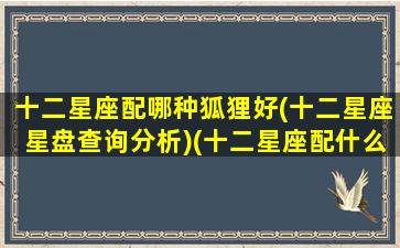 十二星座配哪种狐狸好(十二星座星盘查询分析)(十二星座配什么动物)