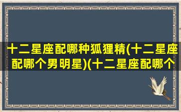 十二星座配哪种狐狸精(十二星座配哪个男明星)(十二星座配哪个小宠物)