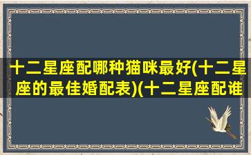十二星座配哪种猫咪最好(十二星座的最佳婚配表)(十二星座配谁最好)