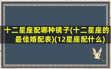 十二星座配哪种镜子(十二星座的最佳婚配表)(12星座配什么)