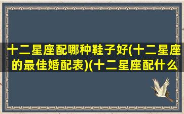 十二星座配哪种鞋子好(十二星座的最佳婚配表)(十二星座配什么衣服)