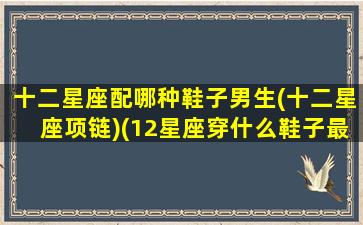 十二星座配哪种鞋子男生(十二星座项链)(12星座穿什么鞋子最漂亮)