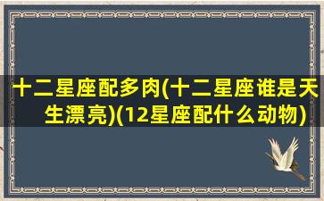 十二星座配多肉(十二星座谁是天生漂亮)(12星座配什么动物)