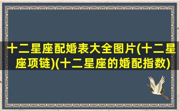 十二星座配婚表大全图片(十二星座项链)(十二星座的婚配指数)