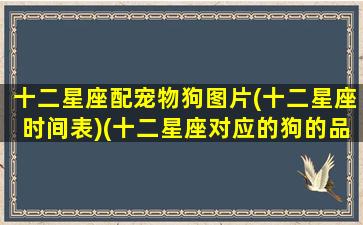 十二星座配宠物狗图片(十二星座时间表)(十二星座对应的狗的品种)