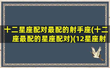 十二星座配对最配的射手座(十二座最配的星座配对)(12星座射手座和谁最配)