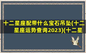 十二星座配带什么宝石吊坠(十二星座运势查询2023)(十二星座配饰)