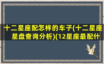 十二星座配怎样的车子(十二星座星盘查询分析)(12星座最配什么跑车)