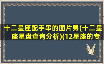 十二星座配手串的图片男(十二星座星盘查询分析)(12星座的专属手链图片带字)