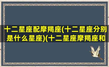 十二星座配摩羯座(十二星座分别是什么星座)(十二星座摩羯座和谁配)