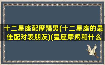 十二星座配摩羯男(十二星座的最佳配对表朋友)(星座摩羯和什么相配)