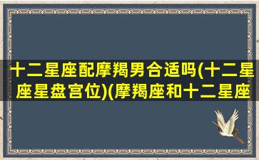 十二星座配摩羯男合适吗(十二星座星盘宫位)(摩羯座和十二星座男会在一起谈恋爱吗)