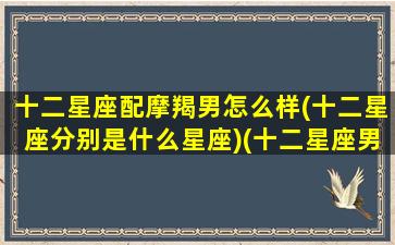 十二星座配摩羯男怎么样(十二星座分别是什么星座)(十二星座男女最佳配对摩羯座)