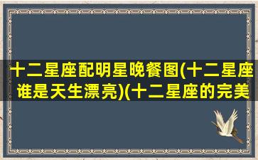 十二星座配明星晚餐图(十二星座谁是天生漂亮)(十二星座的完美搭配)