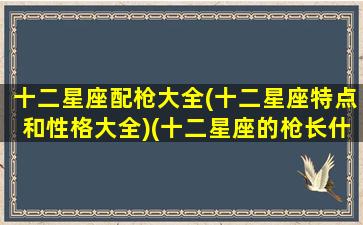 十二星座配枪大全(十二星座特点和性格大全)(十二星座的枪长什么样)