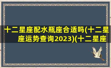 十二星座配水瓶座合适吗(十二星座运势查询2023)(十二星座配对测试爱情水瓶座)