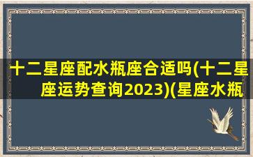 十二星座配水瓶座合适吗(十二星座运势查询2023)(星座水瓶配对)