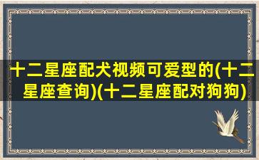 十二星座配犬视频可爱型的(十二星座查询)(十二星座配对狗狗)