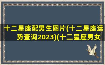 十二星座配男生图片(十二星座运势查询2023)(十二星座男女搭配表)